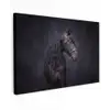 Portret - Paard - Donker Tuinposter op houten frame 2 cm dik klein -3d