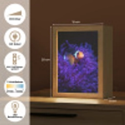Koraal - Vis - Oranje - Zee Light Box met kabel (Tafellamp) klein -USP_DE