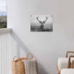Hert - Mistig - Zwart - Wit tuinposter los doek klein -sfeer8