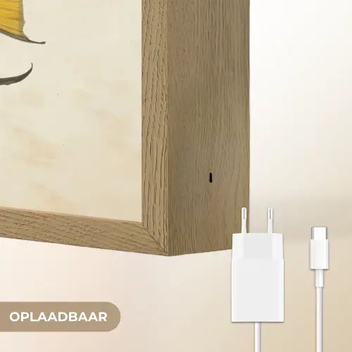 Vis - Sierlijk - Vinnen - Illustratie Light Box met batterij (Wandlamp) middel -USP_websiteoplaadbaarNL