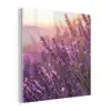 Lavendel - Paars - Zonlicht plexiglas 5mm klein -z3d