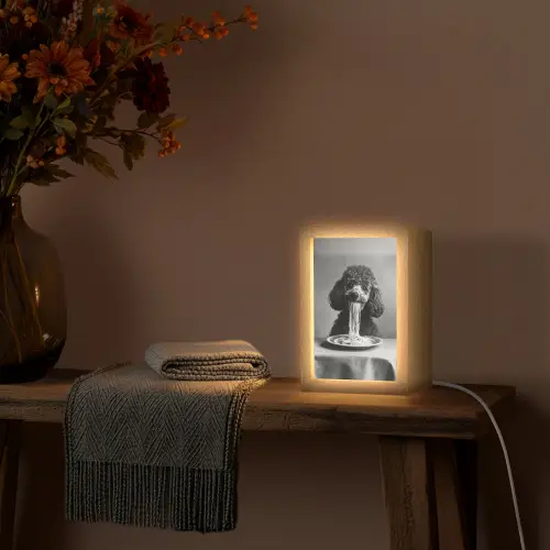 Poedel - Hond - Zwart - Wit - Schattig - Pasta Light Box met kabel (Tafellamp) klein -sfeer4