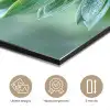 Blad - Plant - Groen - Textuur aluminium wit klein -closeup_NL
