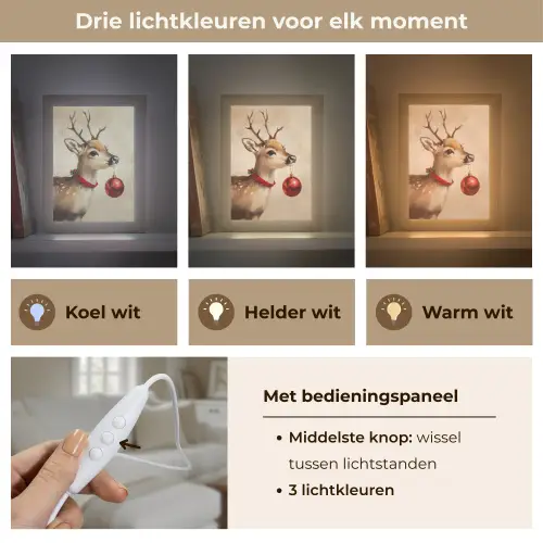 Kerst - Hert - Gewei - Kerstbal - Rendier Light Box met kabel (Tafellamp) klein -USP_lichtkleurNL