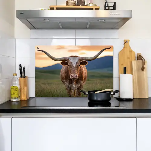 Longhorn - Landschap - Zonsondergang Inductie beschemer met haakjes klein -sfeer2