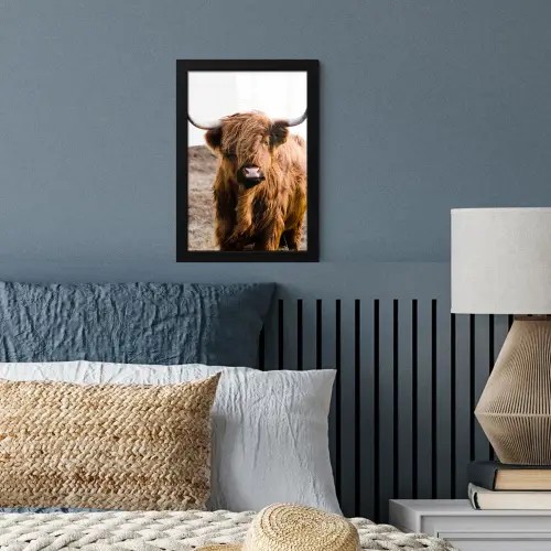 Schotse hooglander - Landschap - Koe - Bruin - Dieren - Natuur fotolijst zwart zonder passe partout klein -sfeer3