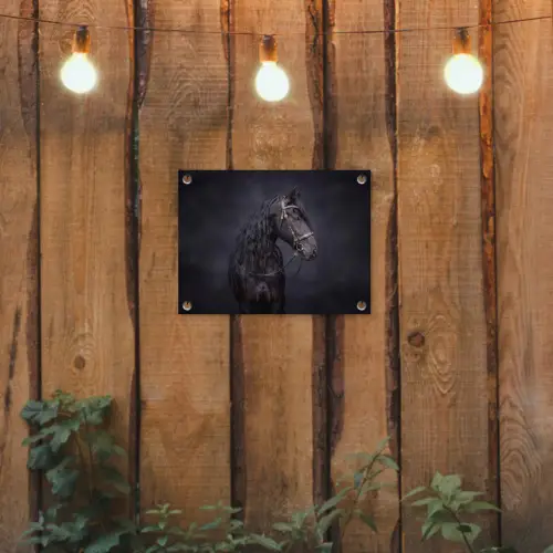 Portret - Paard - Donker tuinposter los doek klein -sfeer1