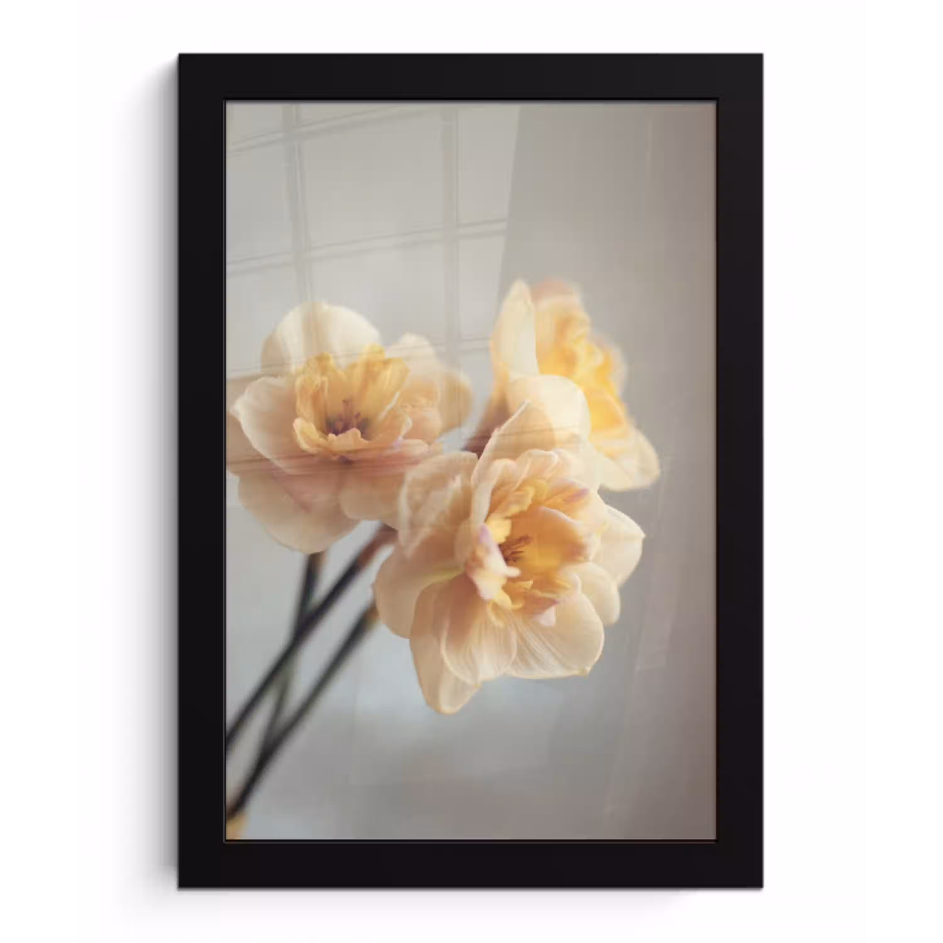 Narcissen - Geel - Bloemblaadjes fotolijst zwart zonder passe partout klein -3d