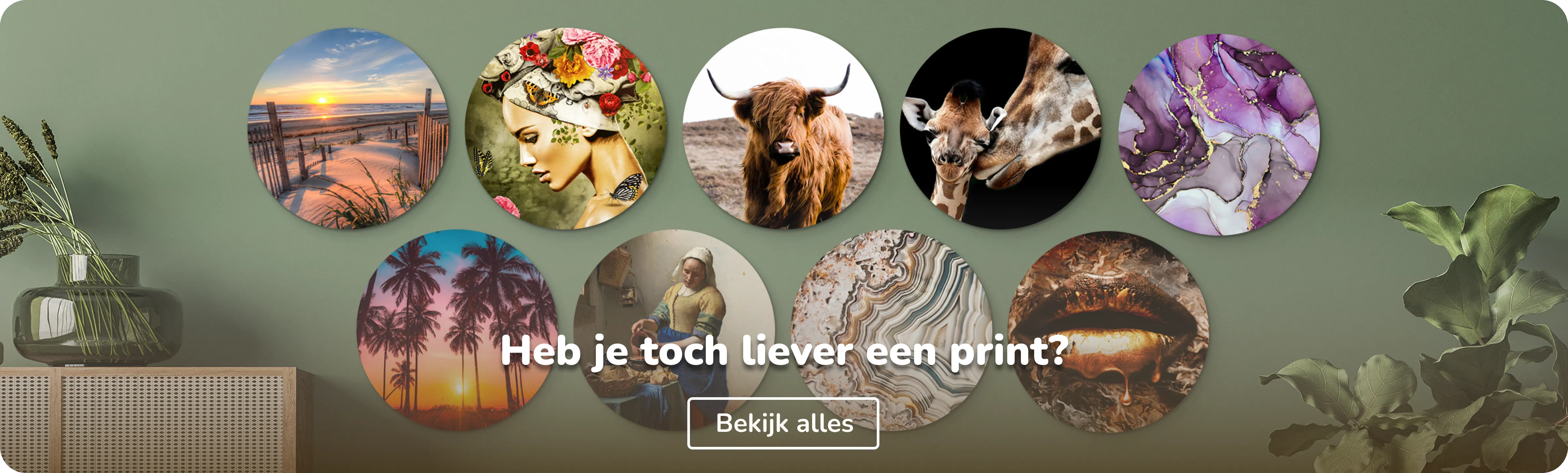 Muurcirkels collecties