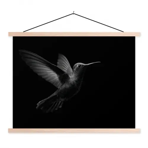 Kolibrie - Zwart - Dieren textielposter latten blank klein -3d
