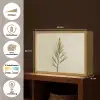 Dennentak - Naaldvormige bladeren - Lichtgroen Light Box met batterij (Wandlamp) middel -USP_websiteoverzichtNL