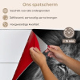 Leeuw - Dieren - Zwart - Wit keuken achterwand spatscherm klein -spatscherm_NL