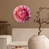 Dahlia - Bloem - Close up - Roze Wandcirkel plexiglas klein -sfeer1
