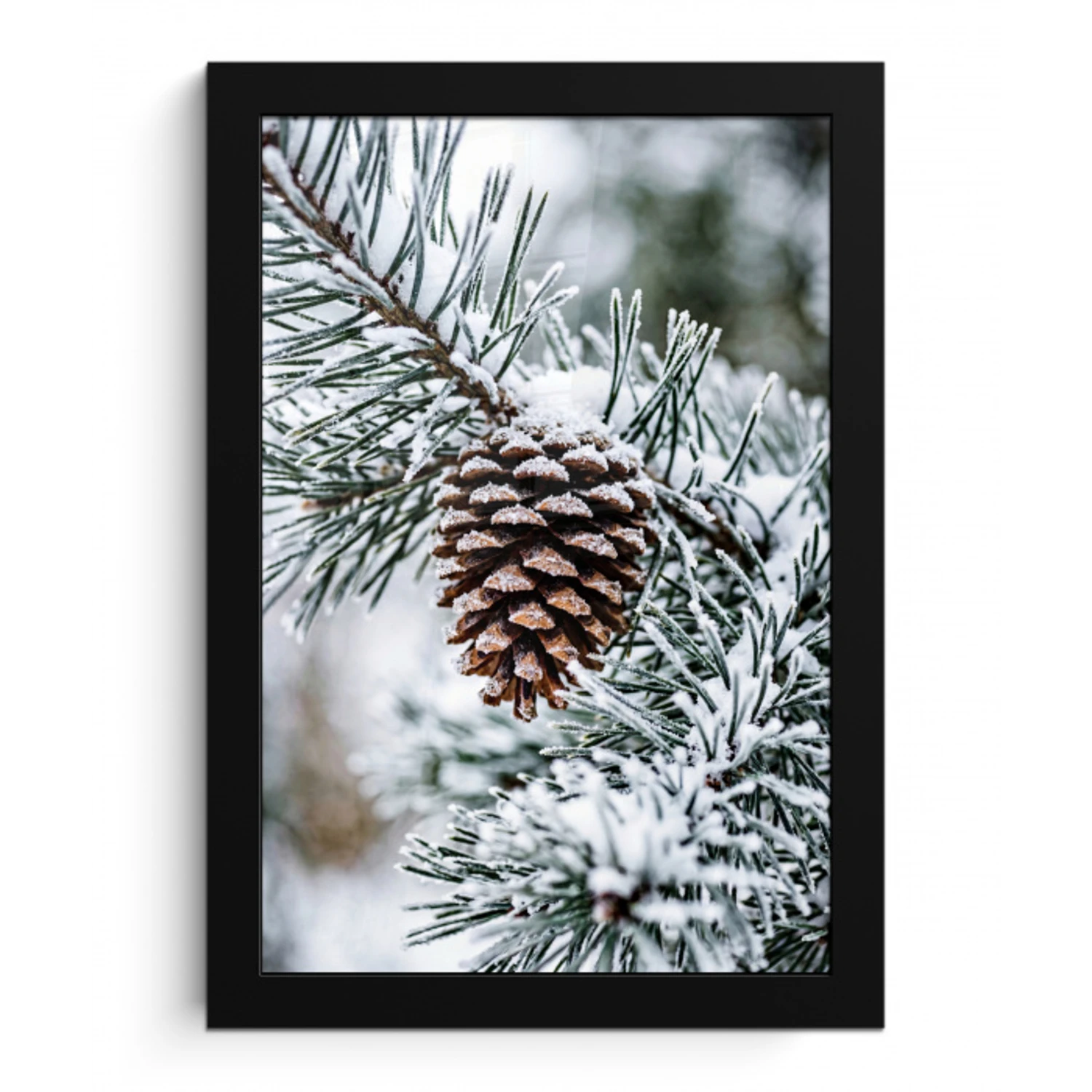 Dennenappel - Tak - Sneeuw - Winter - Sfeervol fotolijst zwart zonder passe partout klein -3d