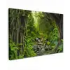 Natuur - Water - Jungle - Bos - Tropisch canvas 2cm klein -z3d