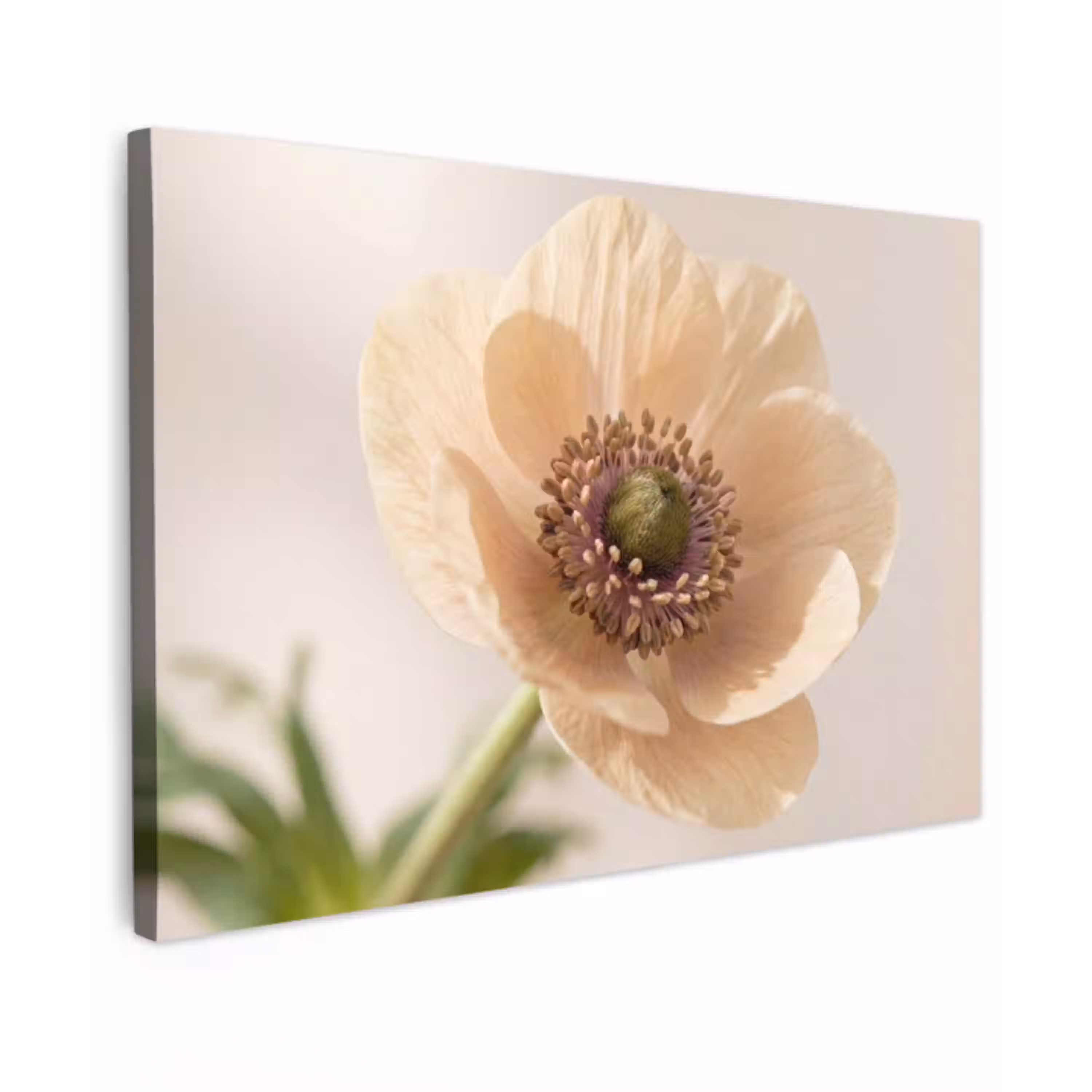Bloem - Minimalistisch - Groen canvas 2cm klein -z3d