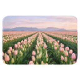 Tulpen - Landschap - Roze Badmat klein -3d
