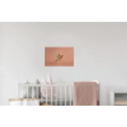 Roodborst - Natuur - Roze Muursticker klein -kinderkamer
