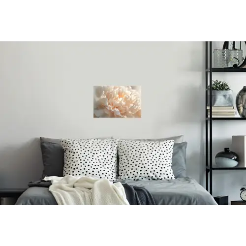 Close up - Pioenroos - Lichtroze Muursticker klein -slaapkamer