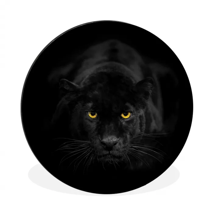 Panter - Dieren - Zwart - Ogen Wandcirkel aluminium klein -3d