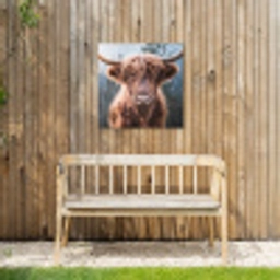 Imposante Hooglander in de Natuur Tuinposter op houten frame 2 cm dik middel -sfeer4