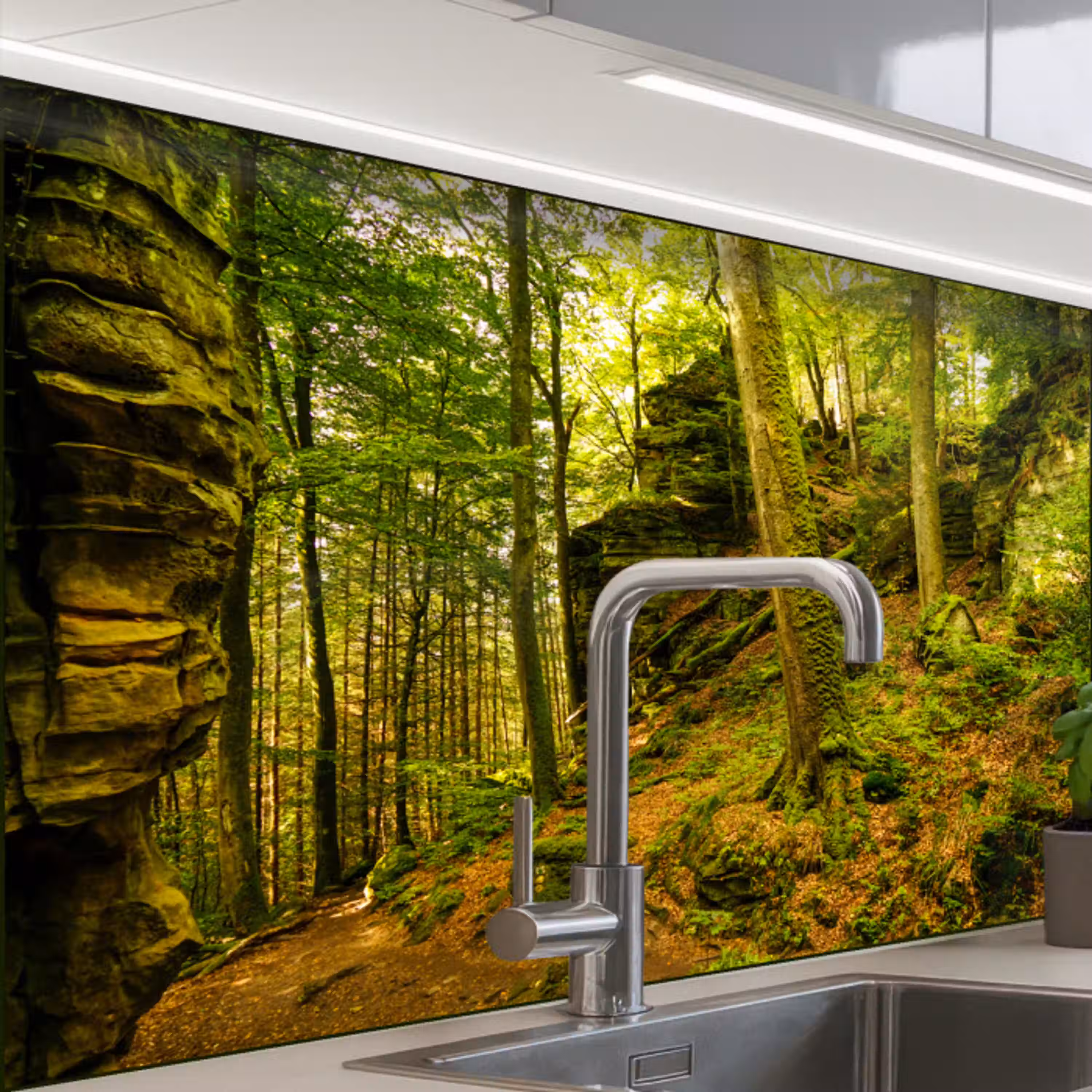 Bomen - Steen - Bos - Natuur - Planten keuken achterwand 2 middel -zzzz3d_schuin