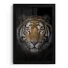 Tijger - Wilde dieren - Portret - Zwart - Dieren fotolijst zwart zonder passe partout klein -3d