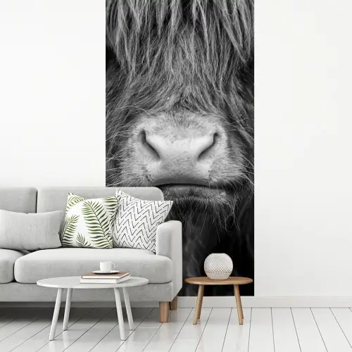 Schotse hooglander - Koe - Zwart - Wit - Dieren fotobehang vinyl groot -woonkamer