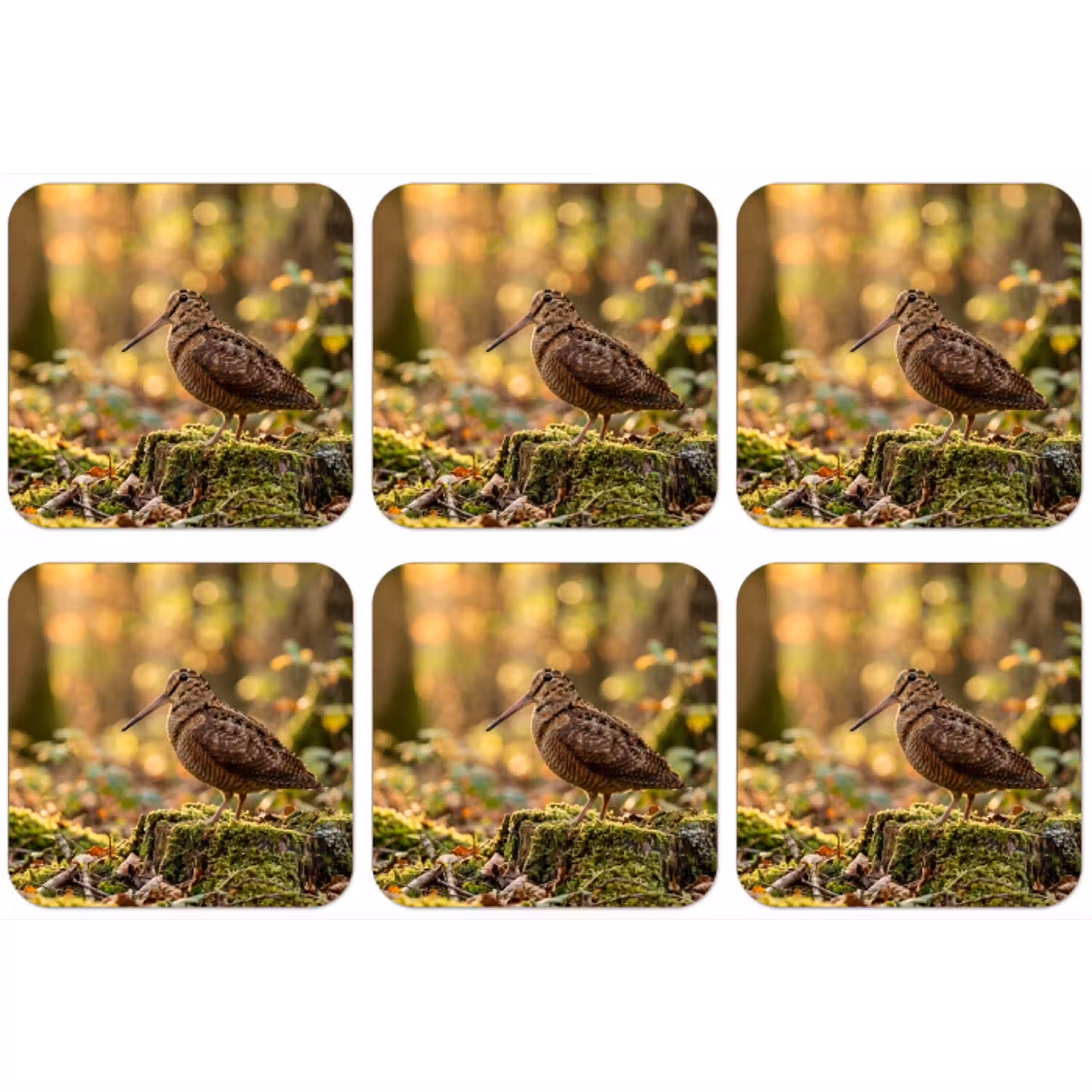 Houtsnip - Bos - Bladeren - Herfst - Gecamoufleerd onderzetter kurk middel -zkaufland3dotto