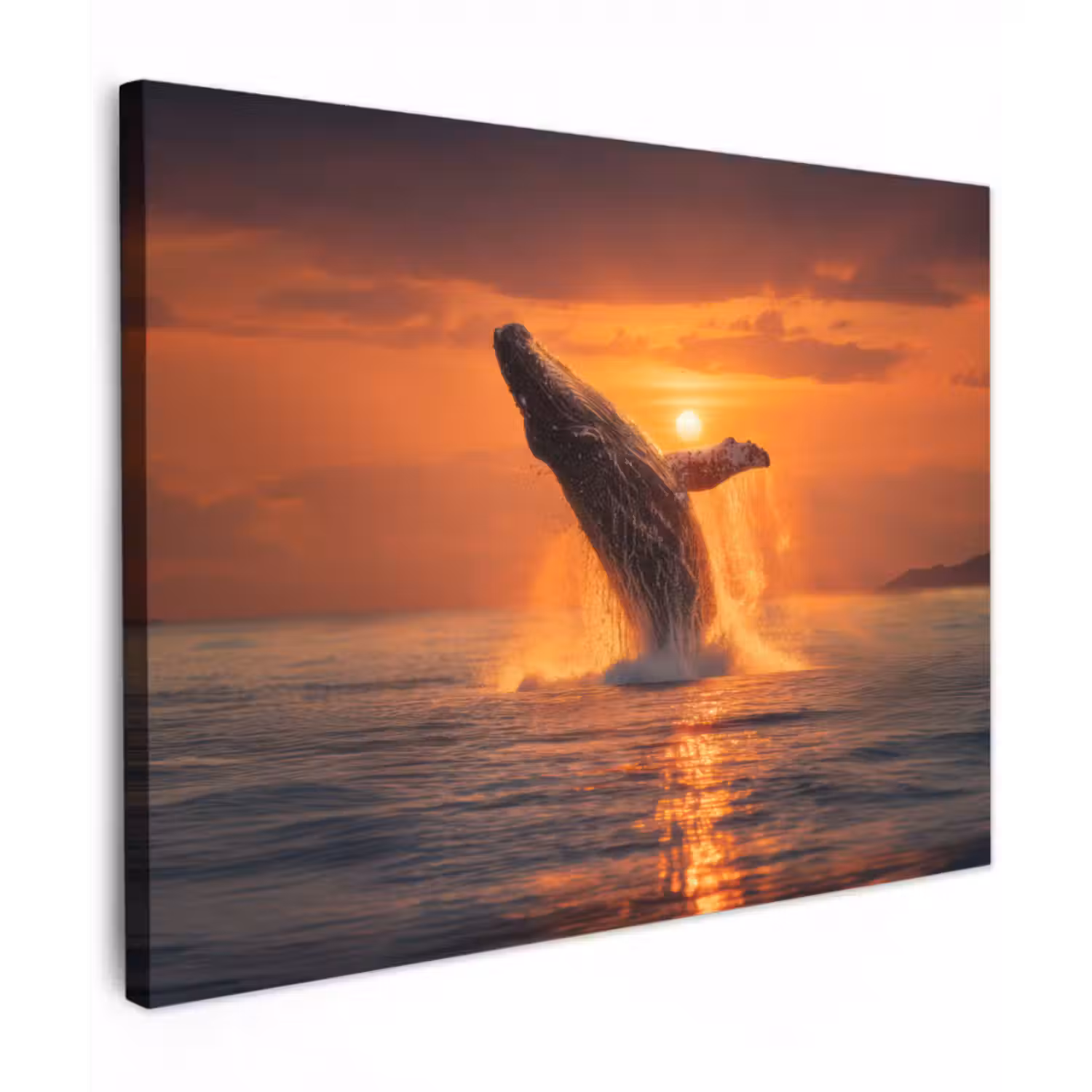 Leinwandbild - Wal - Sonne - Meer