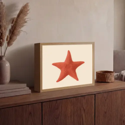 Zeester - Bobbels - Rood Light Box met batterij (Wandlamp) middel -sfeer2
