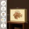 Strepen - Vis - Rond - Stekels Light Box met batterij (Wandlamp) middel -USP_websiteoverzichtNL