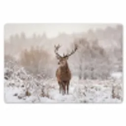 Edelhert - Bos - Sneeuw - Winter - Majestueus Placemat vinyl groot -zzsfeer1_Kitchenyeah-website