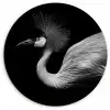 Kraanvogel - Zwart - Wit - Vogel - Dieren Wandcirkel kunststof plaat 5mm dik klein -3d