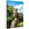 Uil - Boomstronk - Bos - Lucht Tuinposter op houten frame 2 cm dik klein -3d