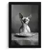 Sphynx - Kat - Dieren - Humor - Spaghetti - Zwart Wit KitchenYeah - Keuken - Fotolijst klein -3d