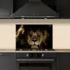 Leeuw - Dieren - Zwart - Portret keuken achterwand spatscherm klein -sfeer1