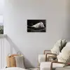 Paarden - Zwart - Wit - Kudde Tuinposter op houten frame 2 cm dik klein -sfeer1