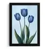 Tulpen - Blauw - Bladeren fotolijst zwart zonder passe partout klein -3d