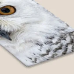 Sneeuwuil - Oog - Wildlife - Wit fotolijst zwart zonder passe partout klein -zsfeer6