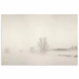 Boom - Mist - Sneeuw - Winter - Minimalistisch poster papier klein -3d