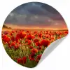 Zonsondergang - Klaprozen - Rood - Bloemen - Veld - Natuur Wandcirkel behangsticker klein -3d