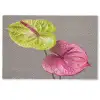 Planten - Anthurium - Groen - Roze Deurmat klein -zkaufland3d
