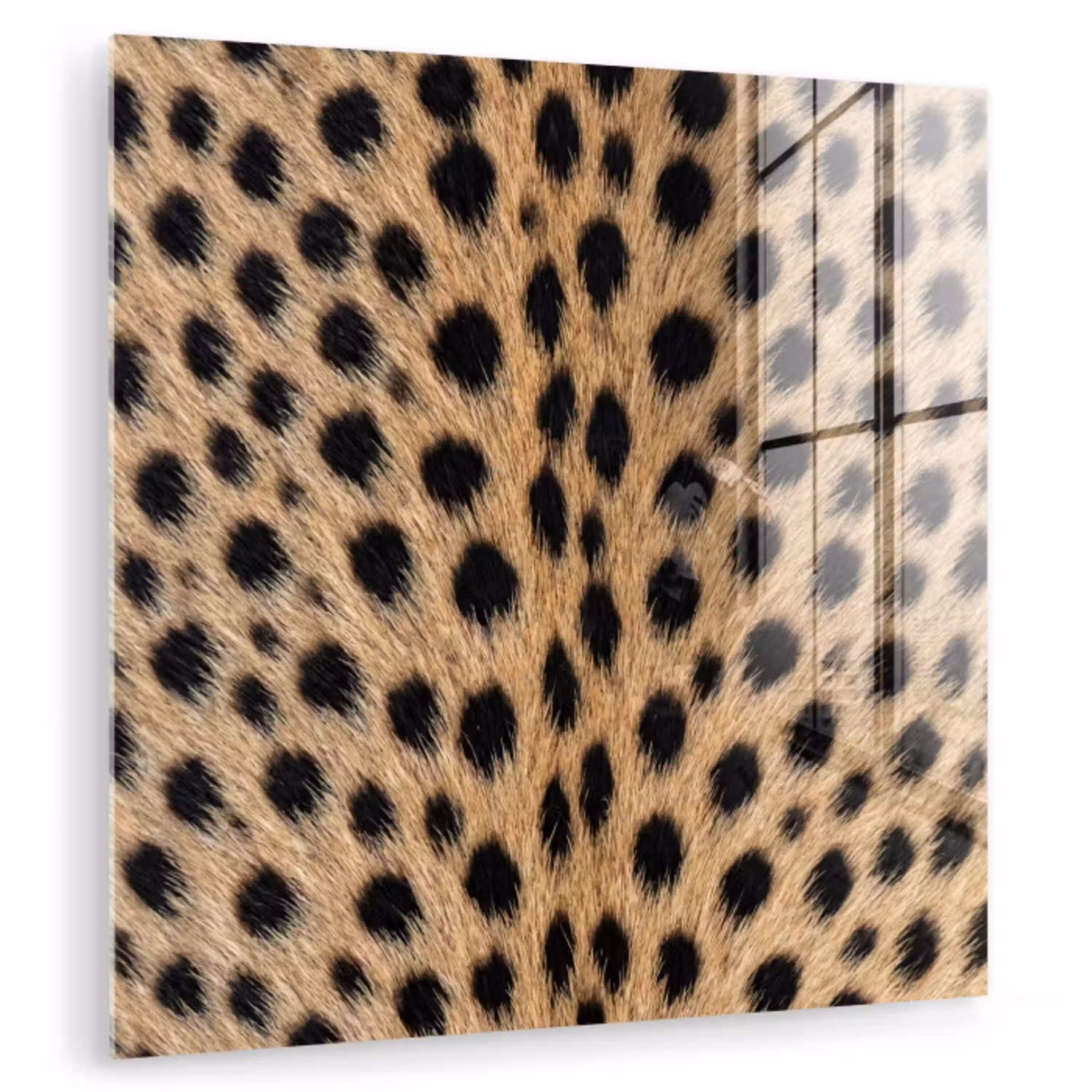Vacht - Jachtluipaard - Zwart - Wit plexiglas 5mm klein -zzzproduct_nieuw