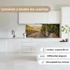 Druiven - Wijngaard - Zonlicht keuken achterwand 2 middel -sfeer4_FR