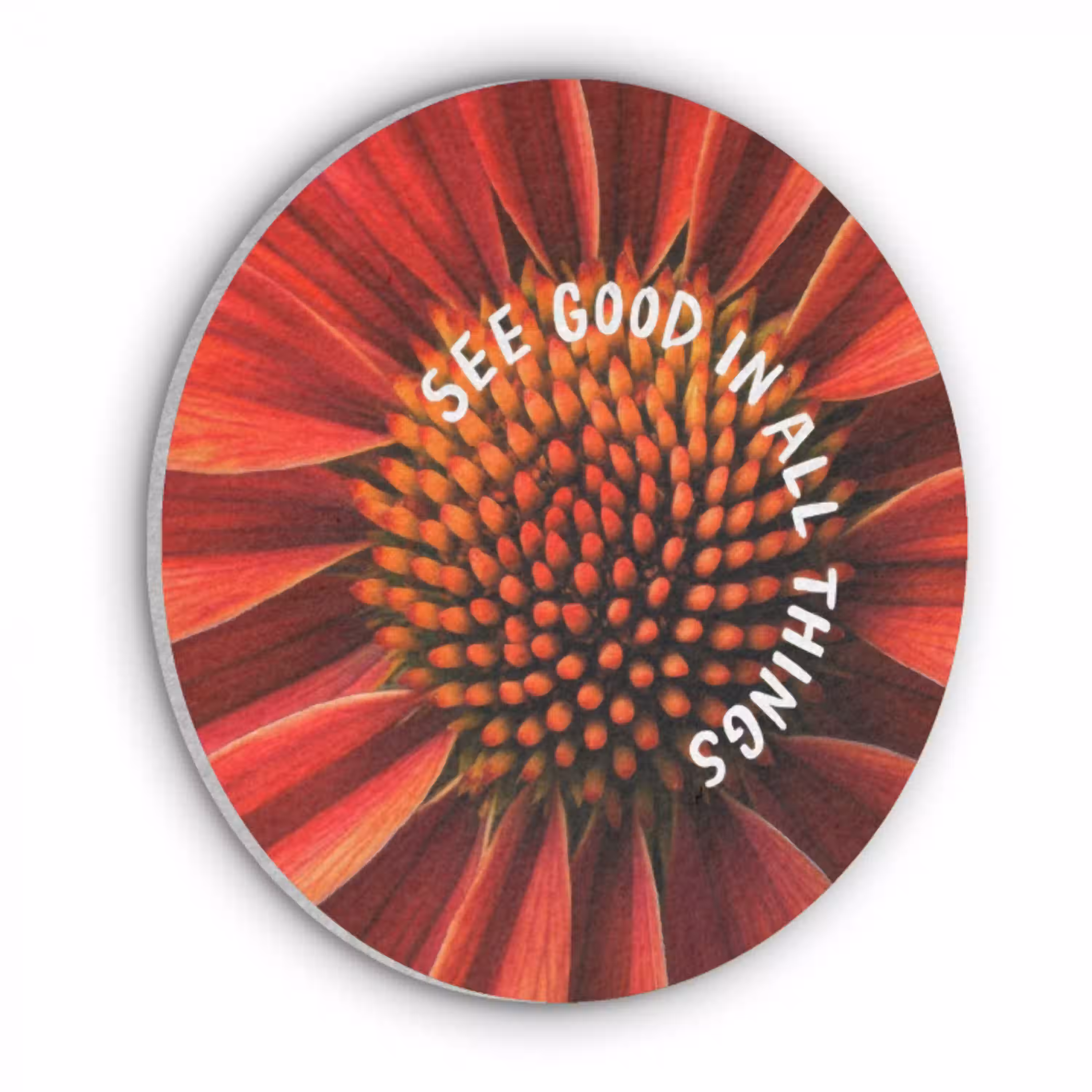 Close up - Bloem - Quote - Rood Akoestische PET Vilt - Rond klein -3d