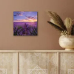 Lavendel - Veld - Natuur - Paars aluminium wit klein -sfeer4