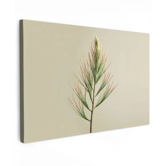 Dennentak - Naaldvormige bladeren - Lichtgroen canvas 2cm klein -z3d