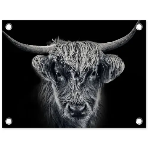 Schotse hooglander - Zwart - Koe - Dieren tuinposter los doek klein -3d