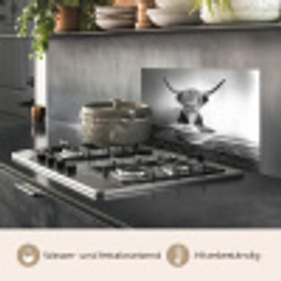 Schotse Hooglander - Spaghetti - Dieren - Zwart wit keuken achterwand spatscherm klein -usp_DE